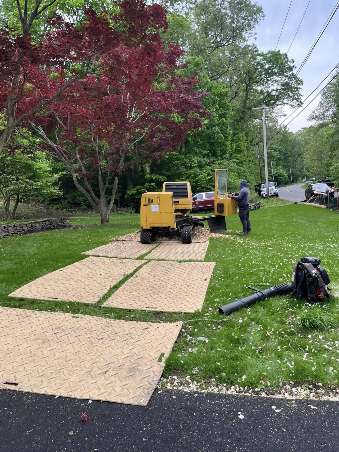 Professional Stump Grinding Services in Framingham, MA and Surrounding ...