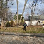 High-Access Tree Care from Our Master Climber in Framingham, MA and Nearby Communities