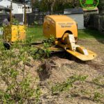 Thorough Stump Grinding Services for Framingham, MA and Surrounding Areas