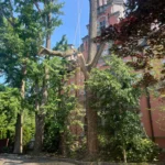 Property Safety Tree Removal Solutions in Framingham, MA and Nearby Communities