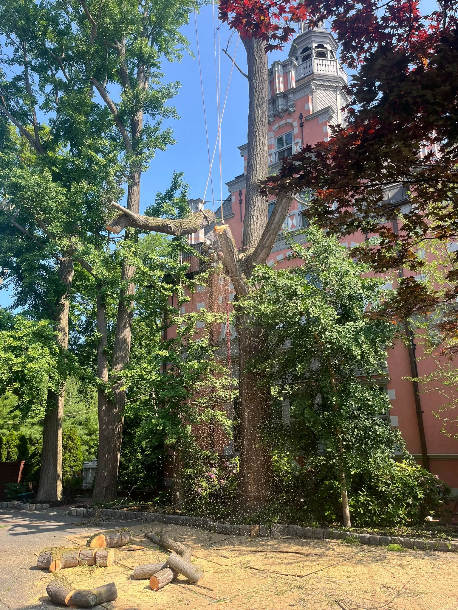 Property Safety Tree Removal Solutions in Framingham, MA and Nearby Communities