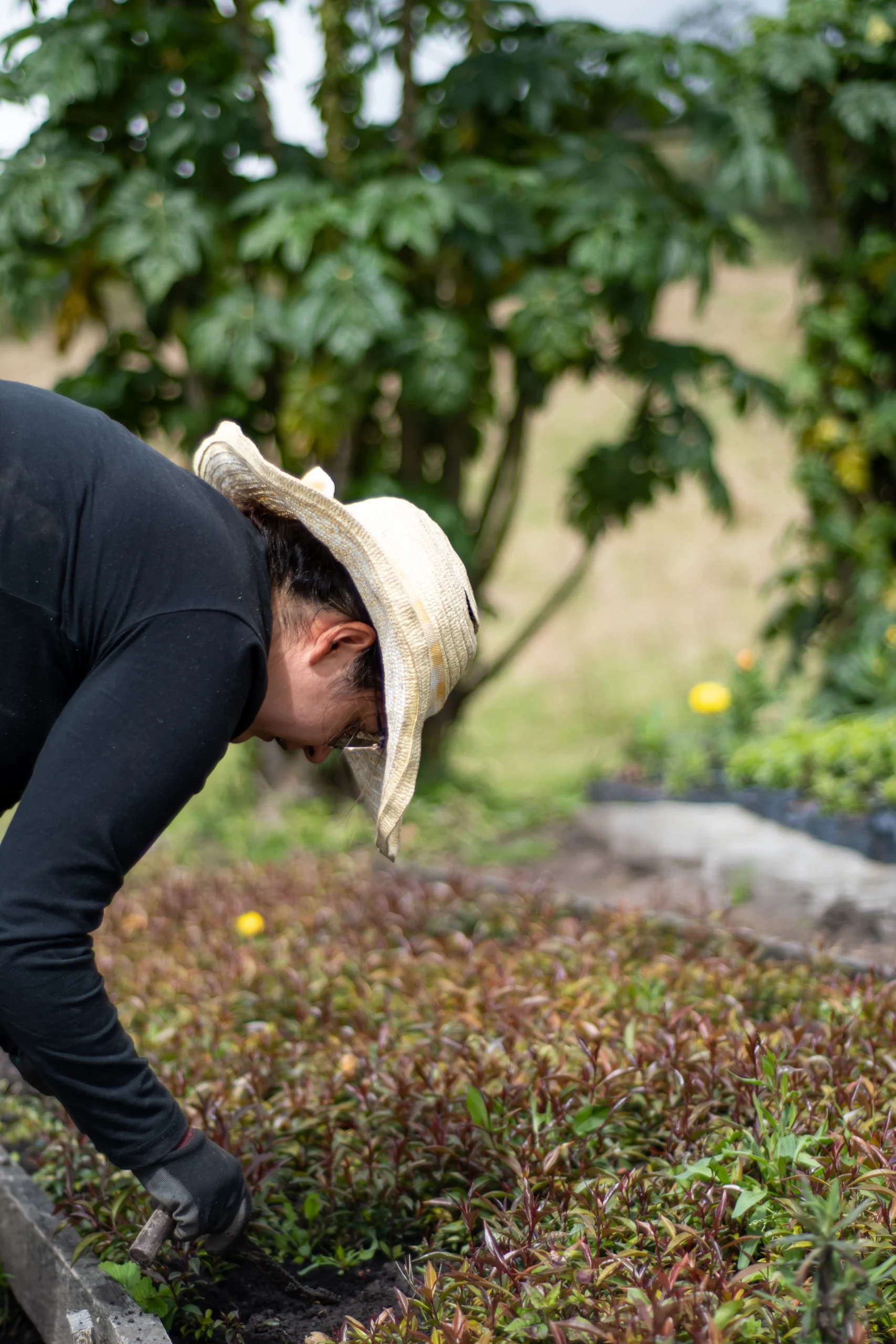 Top-Quality Mulching Services in Framingham, MA and Surrounding Areas