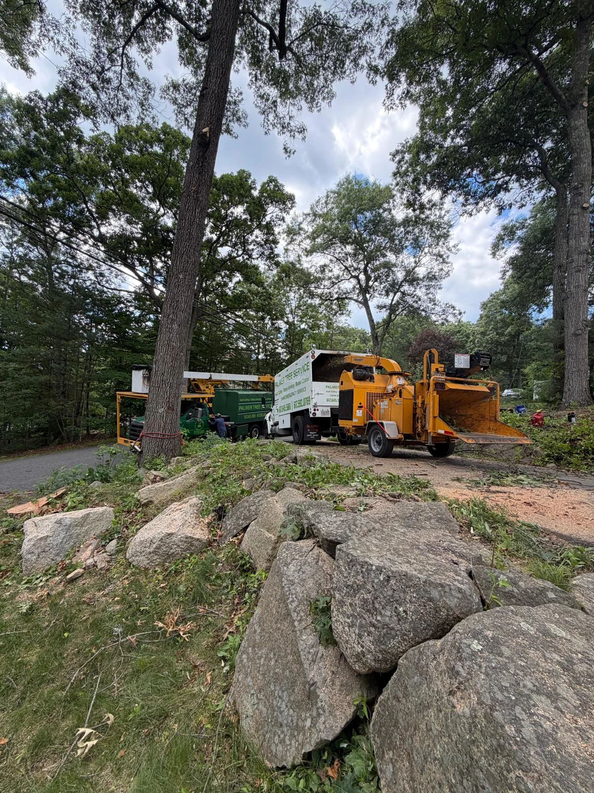 Post-Storm Clean Up Solutions in Framingham, MA and Nearby Communities