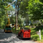 Hazardous Tree Removal Solutions in Framingham, MA and Surrounding Areas