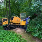 Grinding Away Stubborn Stumps in Framingham, MA and Surrounding Areas