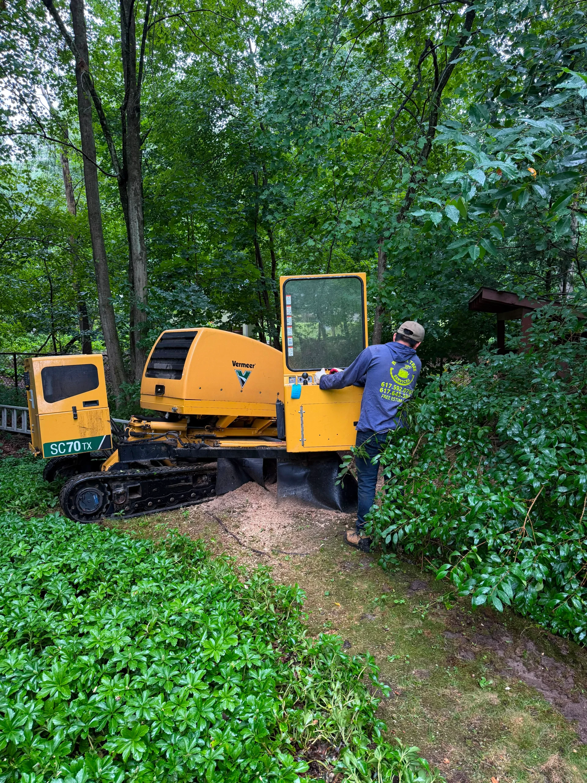 Grinding Away Stubborn Stumps in Framingham, MA and Surrounding Areas
