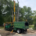 Fallen Tree Removal Services in Framingham, MA and Nearby Communities