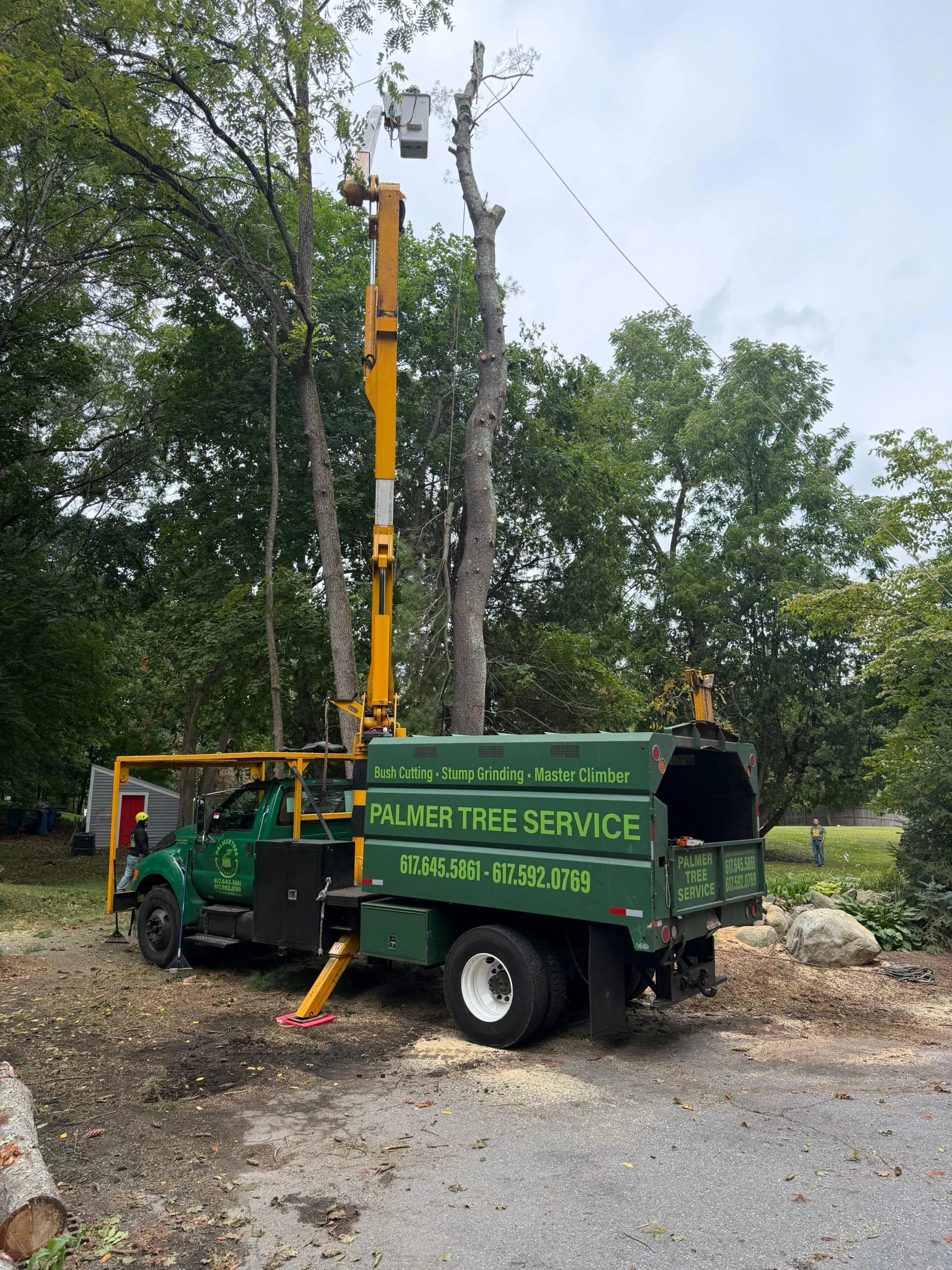 Fallen Tree Removal Services in Framingham, MA and Nearby Communities