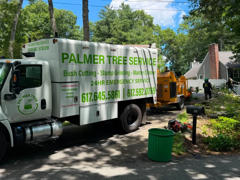 Outdoor Property Clean Up Services in Framingham, MA and Nearby Communities