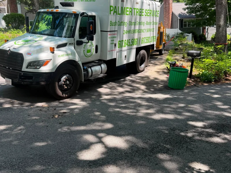 Residential Yard Clean Up Services in Framingham, MA and Surrounding Areas