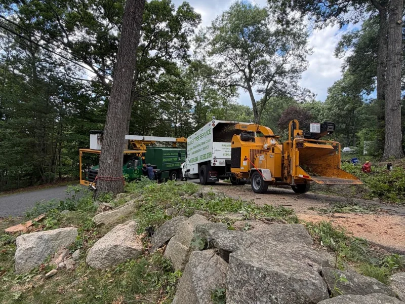 Post-Storm Clean Up Solutions in Framingham, MA and Nearby Communities