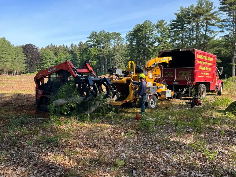 Seasonal Clean Up Services in Framingham, MA and Surrounding Areas