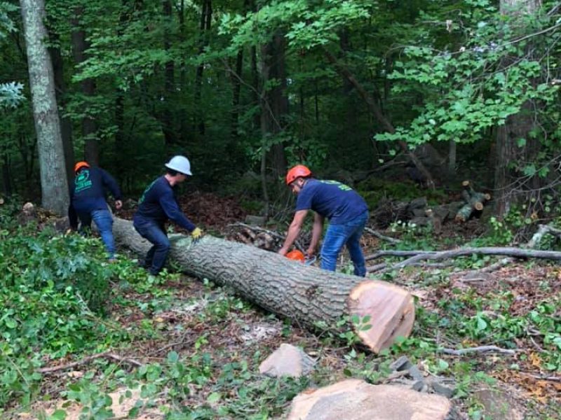 Reliable Lot Clearing Solutions in Framingham, MA and Nearby Communities