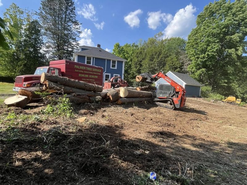 How Professional Lot Clearing Prepares Your Property for New Projects