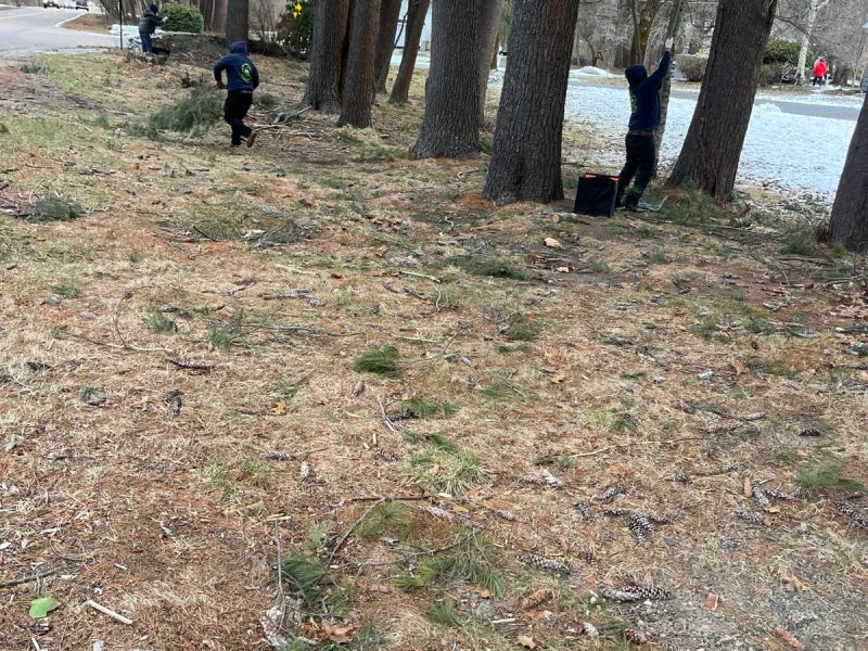 24 Hour Yard Reset: What a Pro Clean Up Can Do After a Messy Week