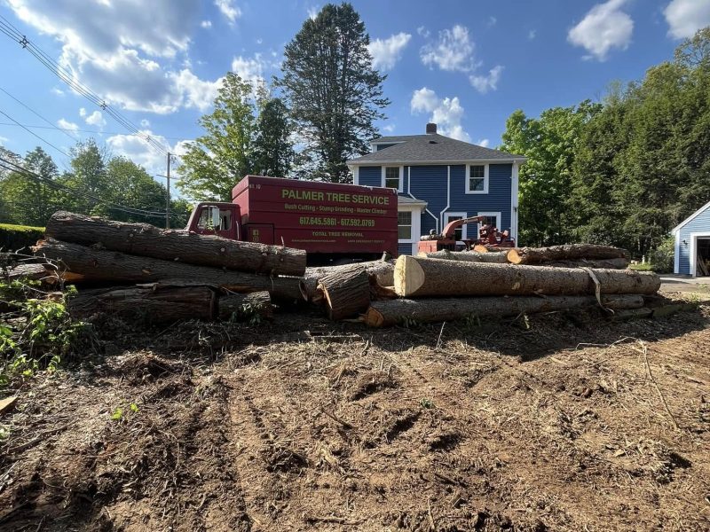 Efficient Tree Removal Services in Framingham, MA and Surrounding Communities