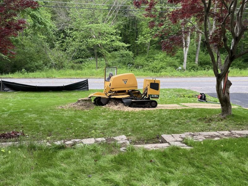 Stump Grinding in Framingham, MA: Remove the Problem Completely, Not Just the Tree