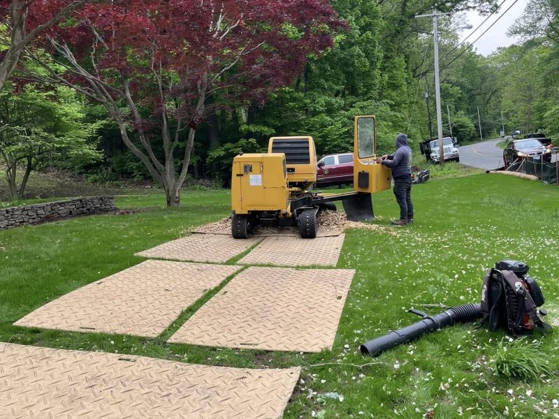 Professional Stump Grinding Services in Framingham, MA and Surrounding Areas