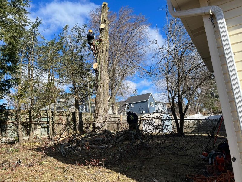 Specialized Master Climber Solutions in Framingham, MA and Surrounding Areas