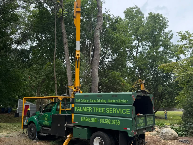 Fallen Tree Removal Services in Framingham, MA and Nearby Communities