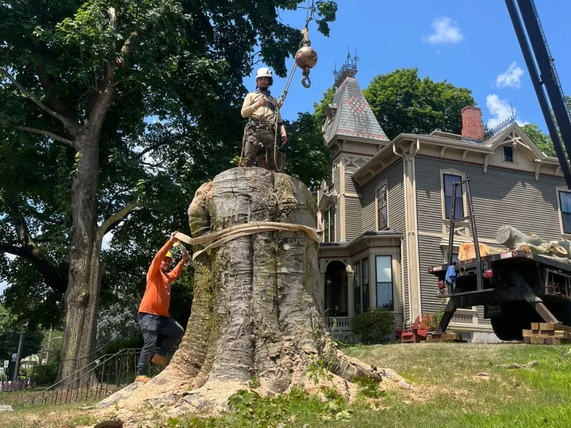Call Before You Grind: Utilities, Irrigation, and Other Hidden Surprises