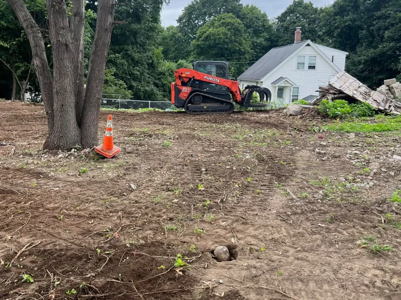 Before and After: Transforming Overgrown Lots into Safe, Beautiful Spaces